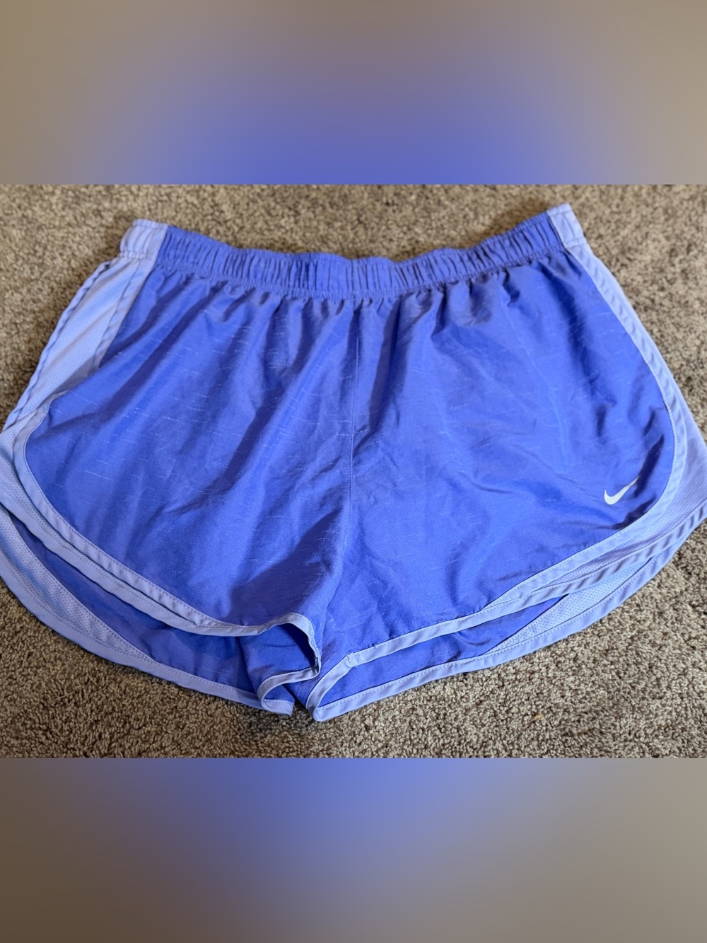 Nike Lilac Dri-Fit Shorts  Size XL